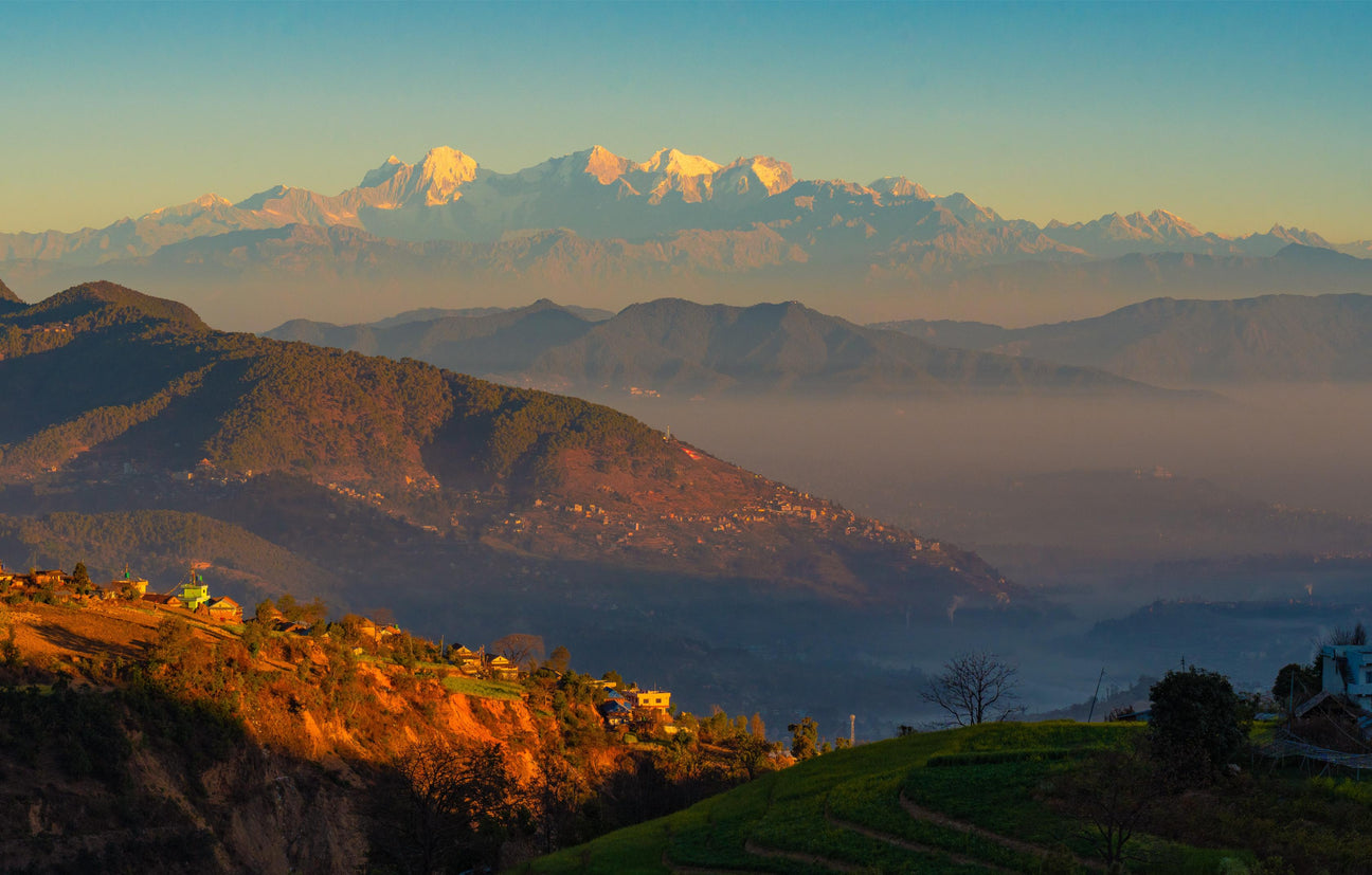 Why High Altitude Coffee Tastes Better: The Himalayan Secret