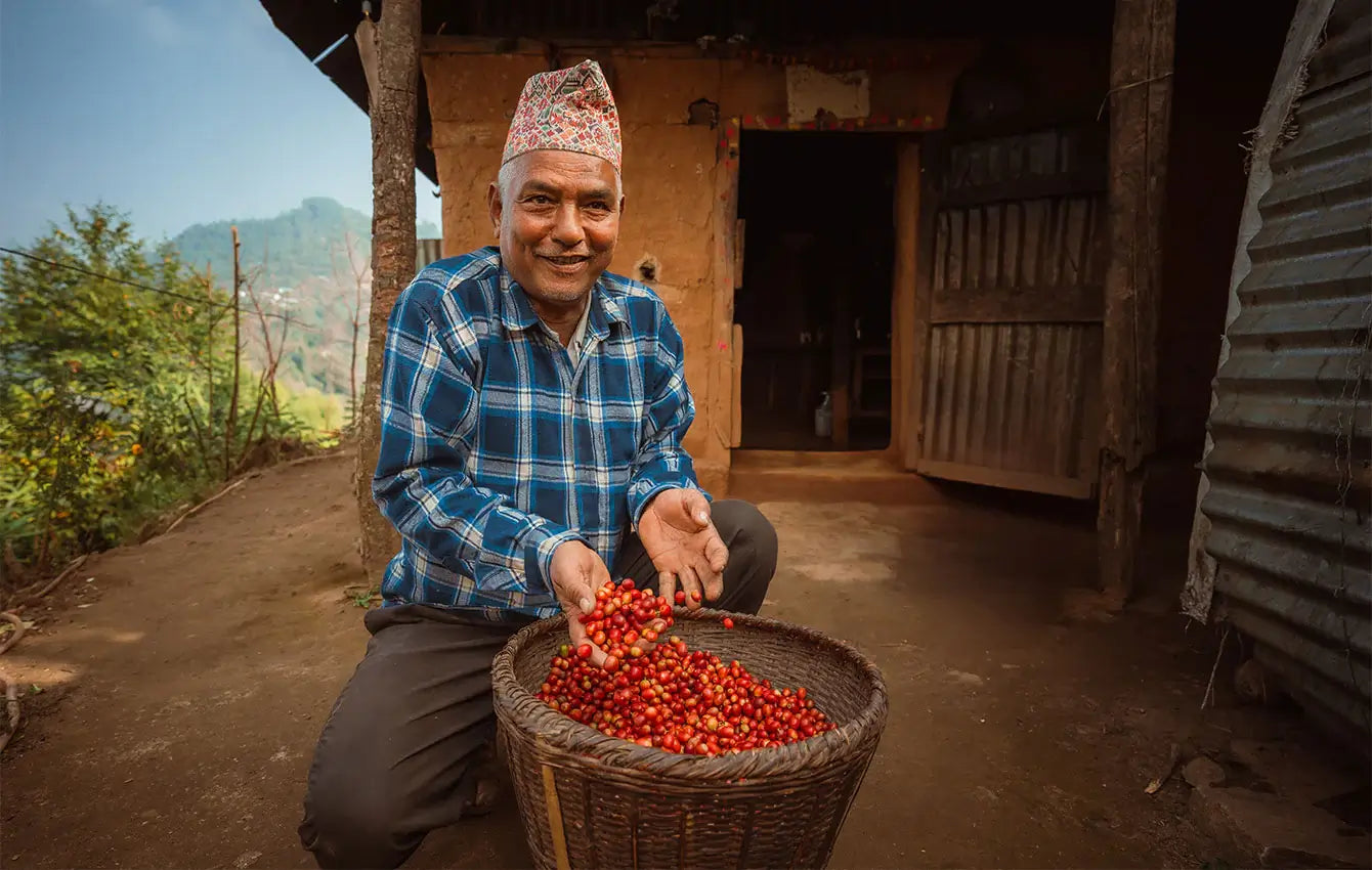Farmer holding raw coffee beans