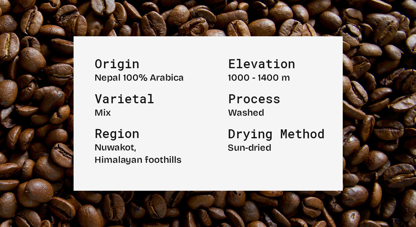 Know Your Coffee