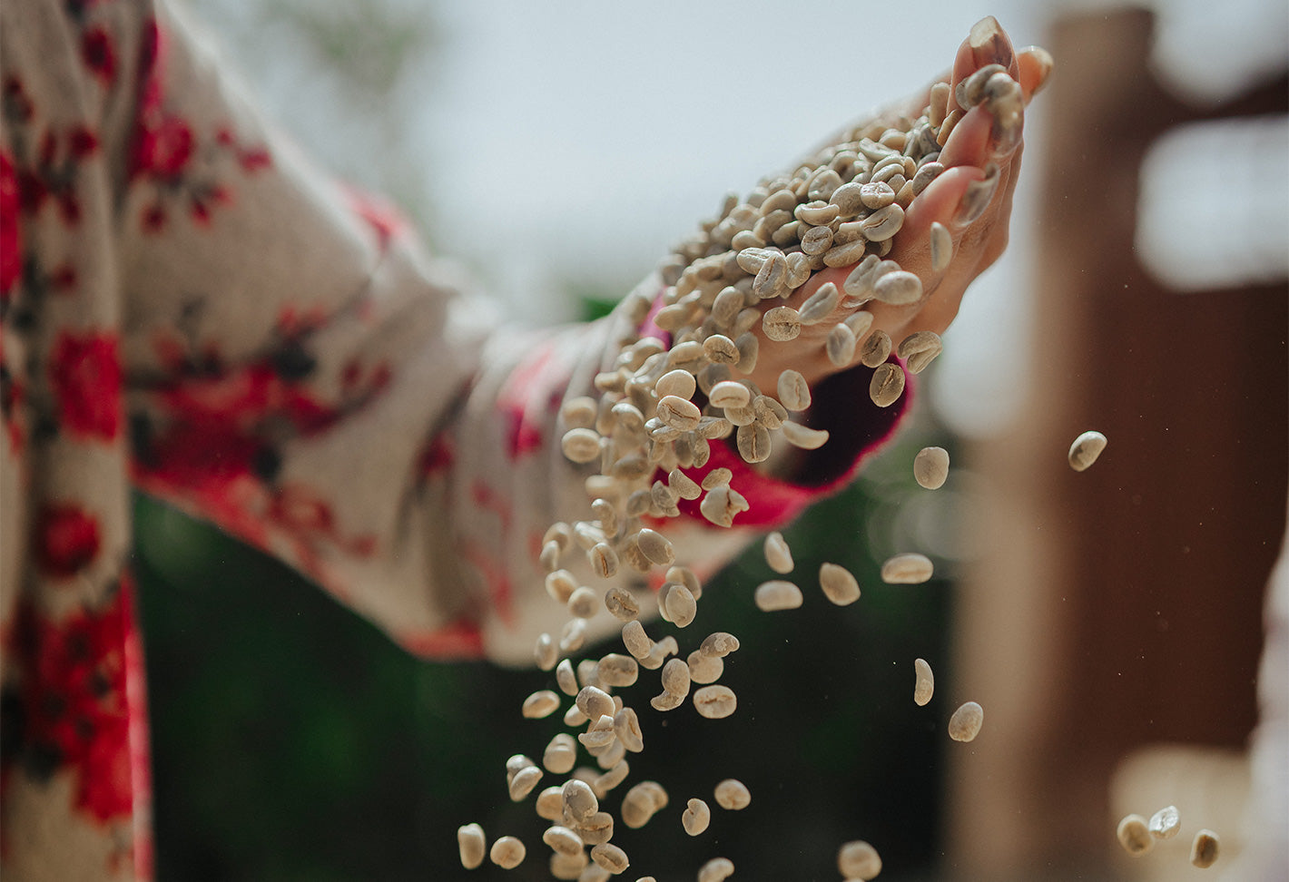 Kamma White Beans
